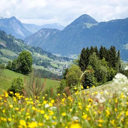 In Neustift Near Lift, Cleaning Included 아파트 *